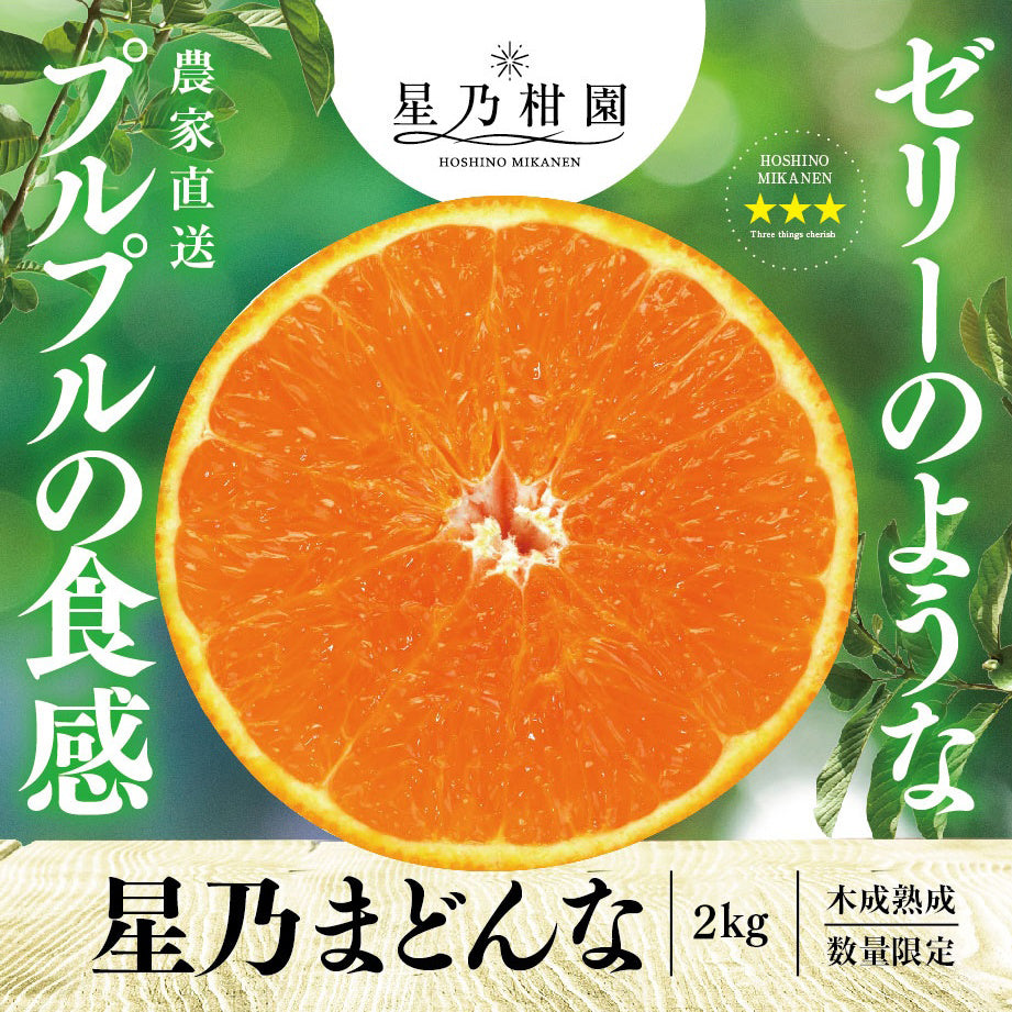 星乃まどんな【木成り熟成みかん/サイズ混合】 2kg – 星乃柑園
