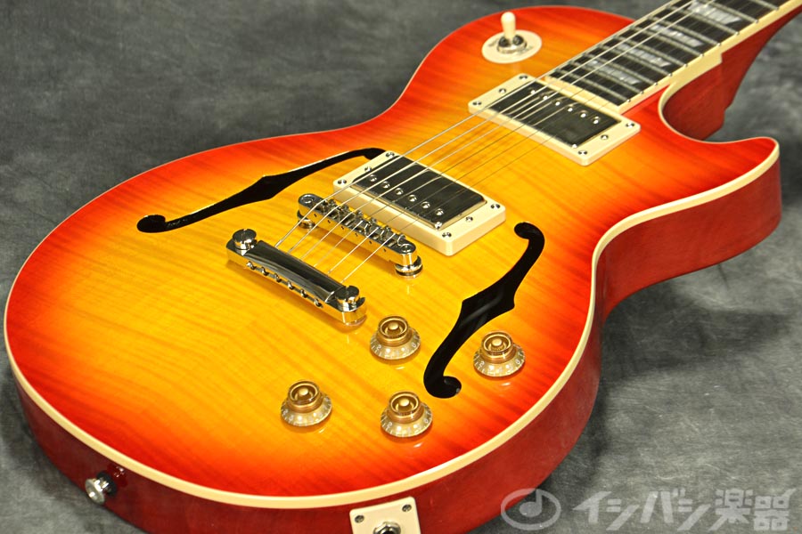 Epiphone Les Paul Standard Pro レスポール Epiphone Les Paul