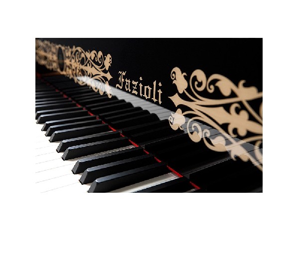 FAZIOLI PIANOFORTI | Custom Maid Piano | F183（岸ミツアキ氏所有）