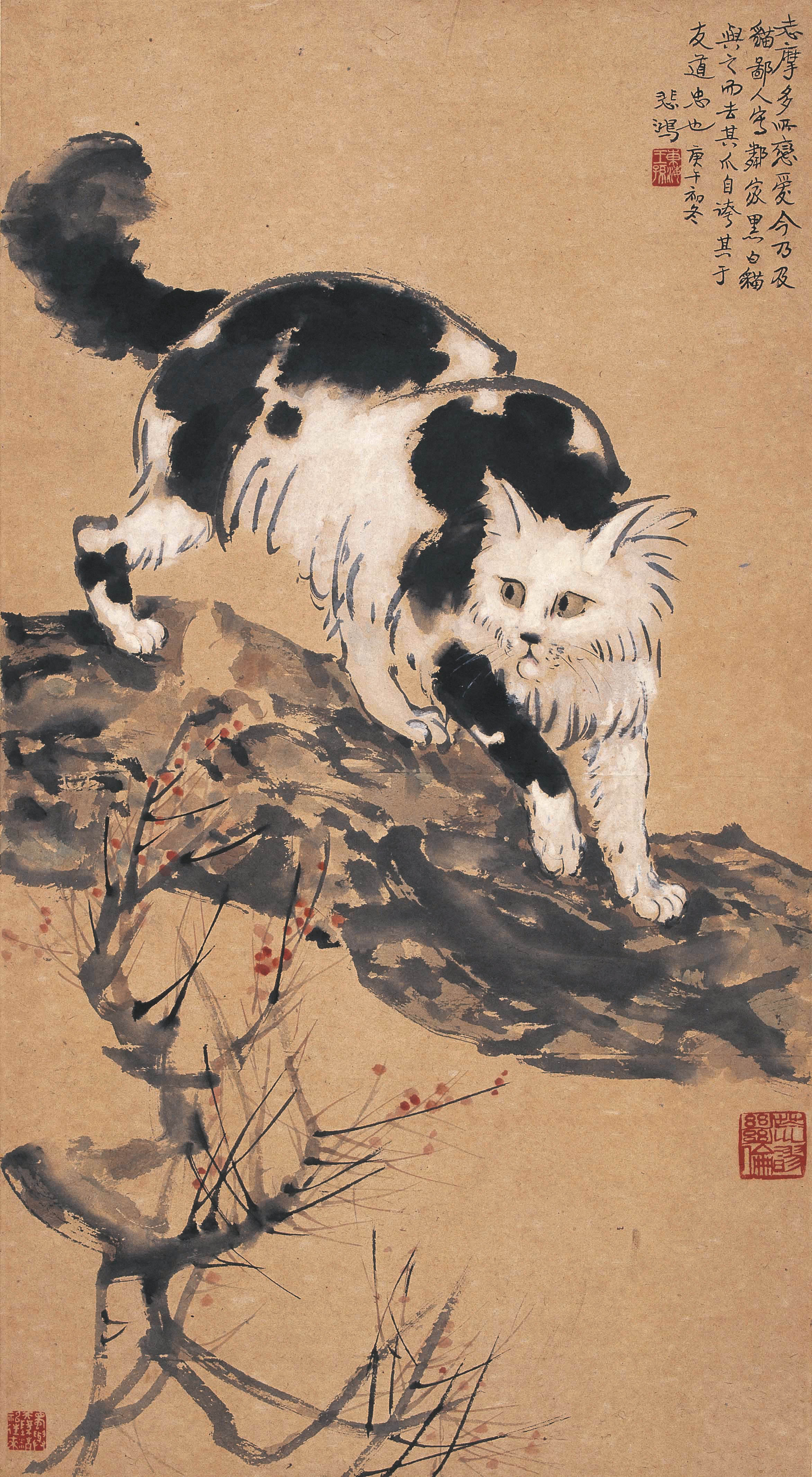 徐悲鸿赠《猫》徐志摩-三联生活网