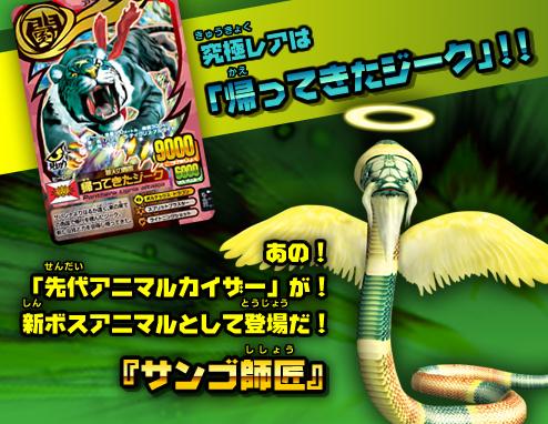 アニマルカイザー サンゴ師匠 激レア アニマルカイザー 究極レア