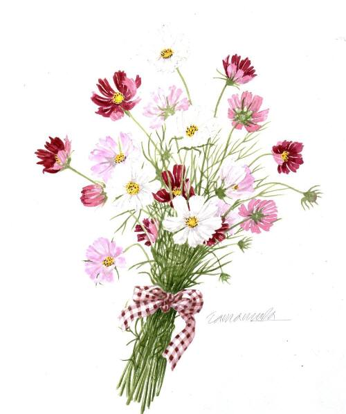 玉村豊男 版画 【コスモスの花束】 フランジェリコwebショップ 【送料