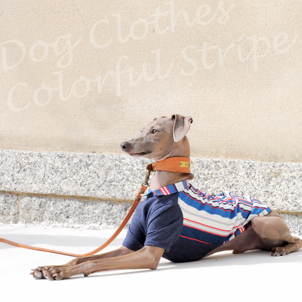 犬服 ハンドメイド スタイリッシュドレス 紺 犬服｜カラフルストライプ