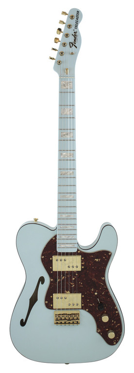 NGD unique masterbuilt Telecaster. | The Gear Page