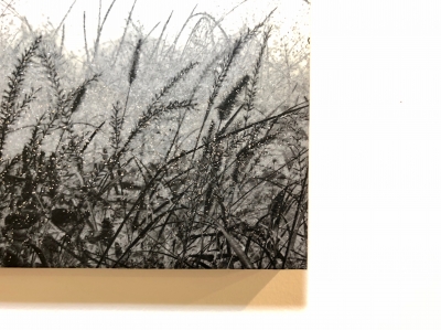 行ってきました】「平野淳子展 - 武蔵野 -」at Galerie412 | アワガミ