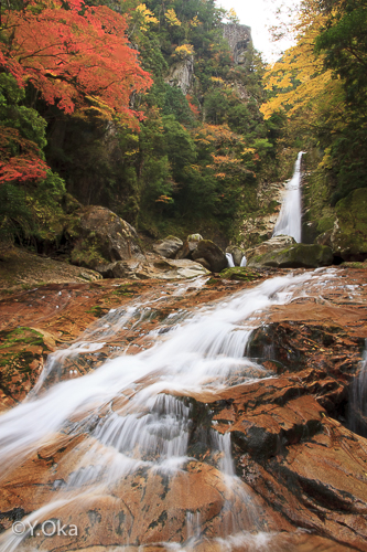 笹の滝の紅葉が見頃 | 十津川村観光協会お知らせ