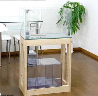 60CMオーバーフロー水槽