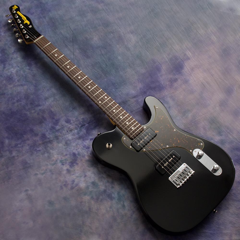 レゲエマスター Reggae Master リンディフレーリン搭載 レゲエマスター