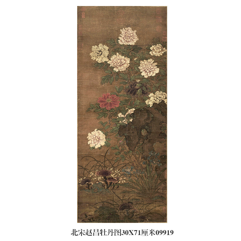 中国古美術・旧藏・北宋風・趙昌款・花鳥図・手描き中堂画・掛軸・宣紙