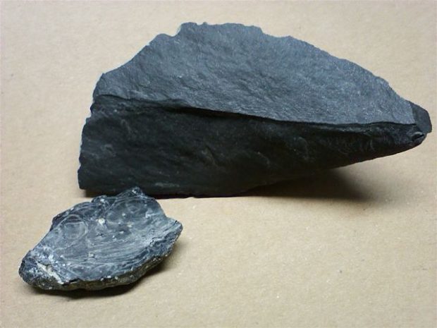 縄文人もミーハーだった！縄文中期の最前線トレンドは「信州ブランド