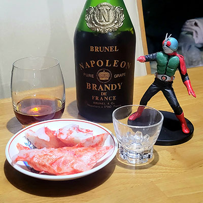 ブランデーの記録 BRUNEL NAPOLEON ブランデー フィギュアボトル