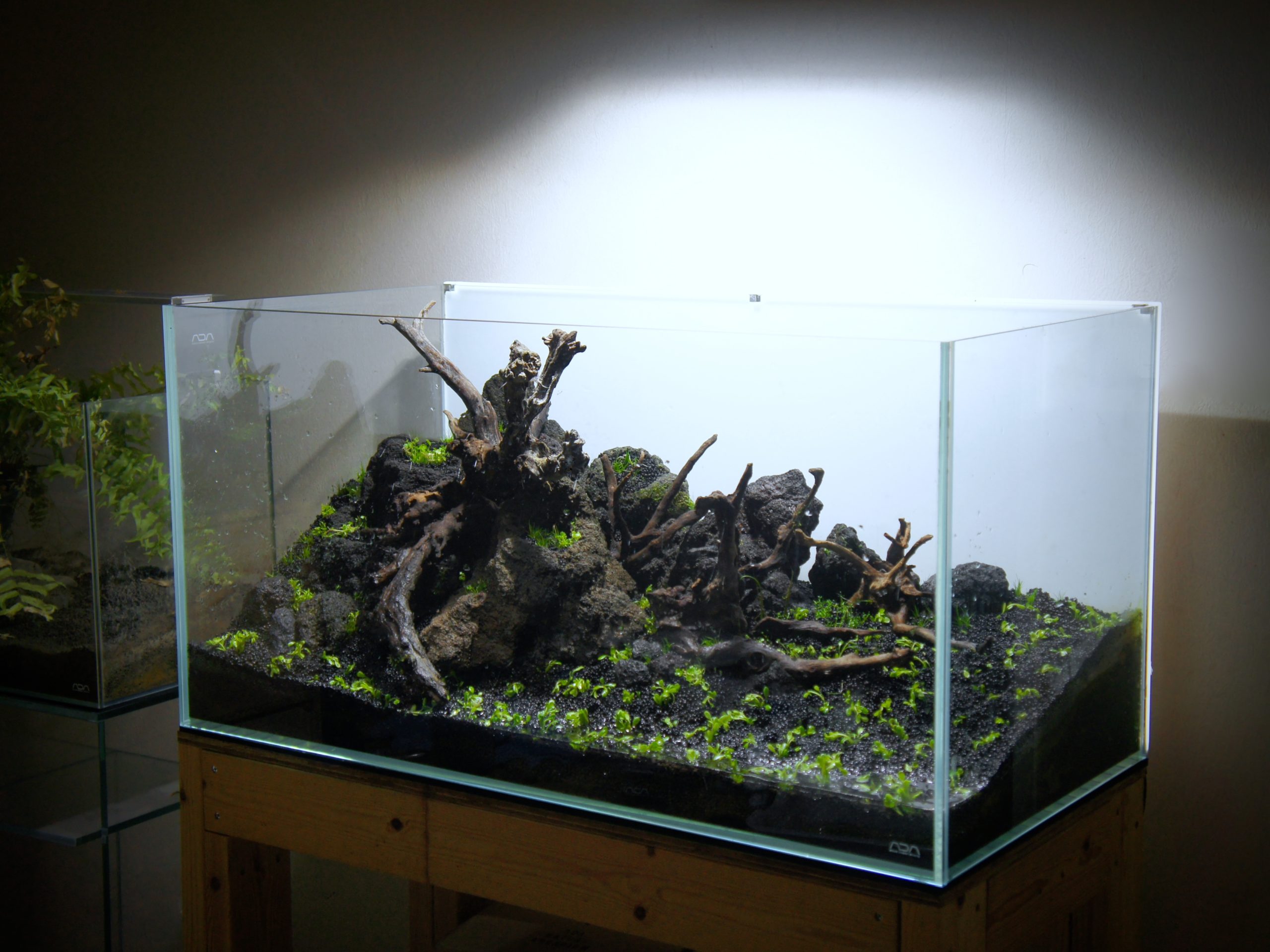 ADA雲山石 2個セット ADA 雲山石 大小2つ ADA雲山石