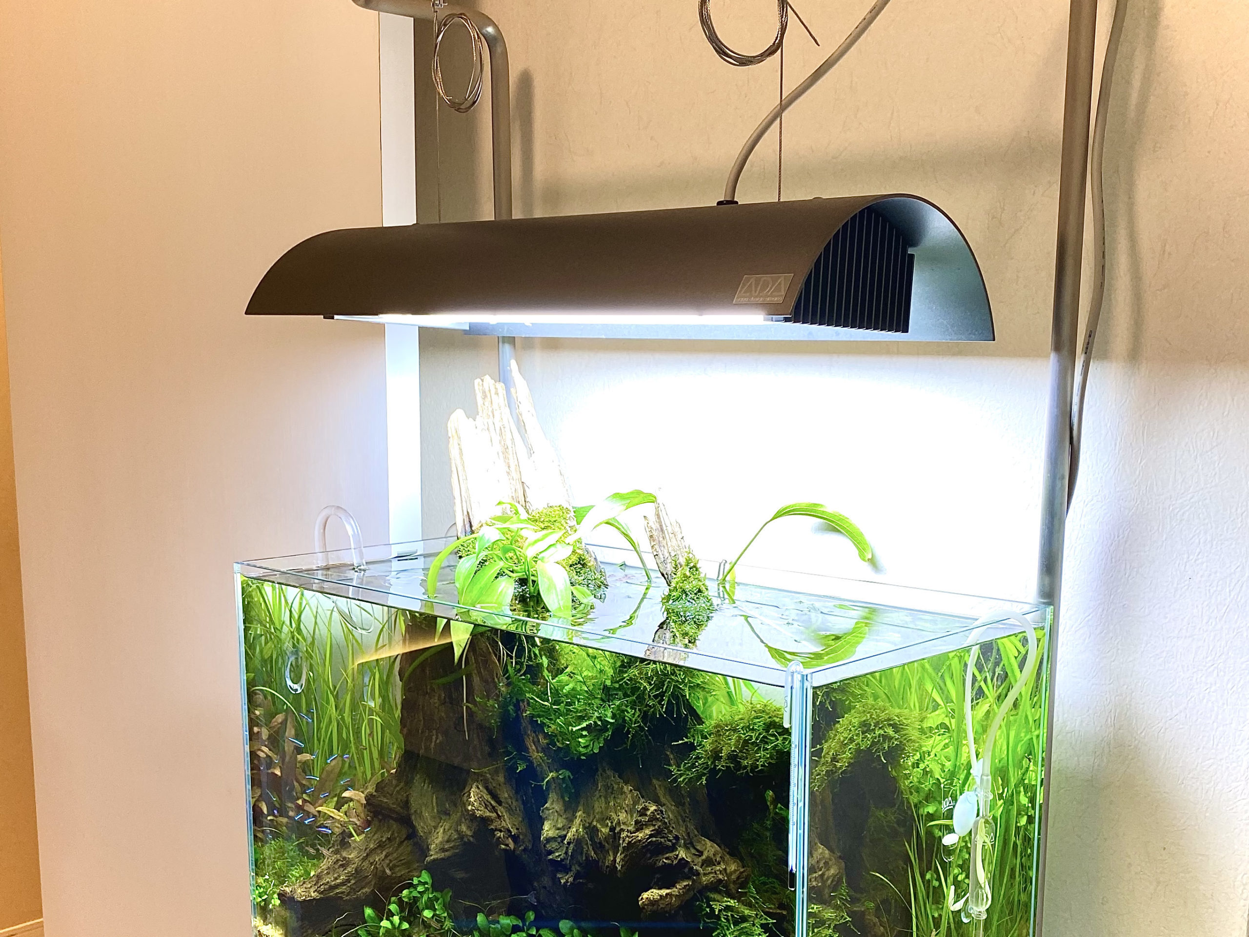 ADA ソーラーRGB 専用シェードセット 中古 中古品】ADA ソーラーRGB