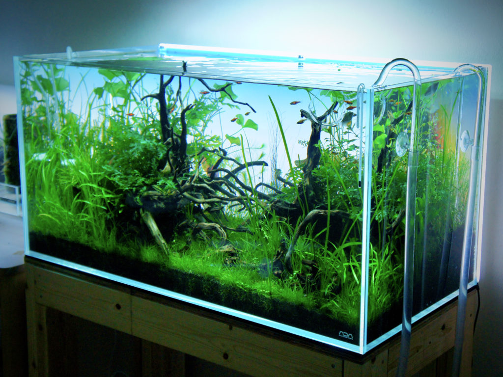 セール中】水槽ライトスクリーン60cm ×36cm 節約 esAqua 水槽LED