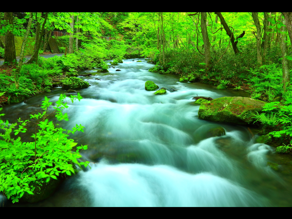 奥入瀬新緑 奥入瀬新緑 奥入瀬渓流-新緑-_-青森県十和田