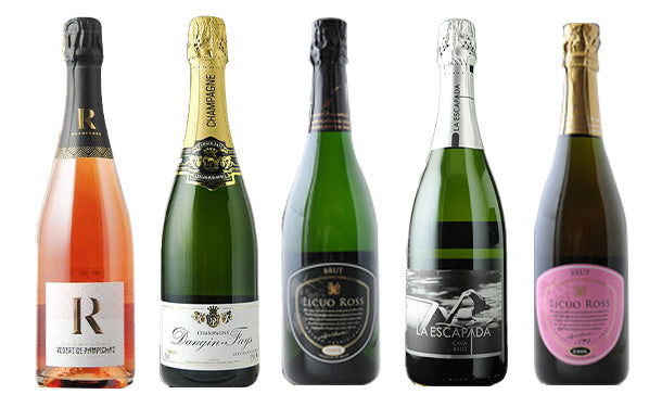 main01-2024-08-01T165920.919.