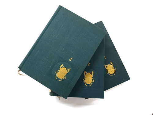 f*t様 藤本標本用品製 オークション8