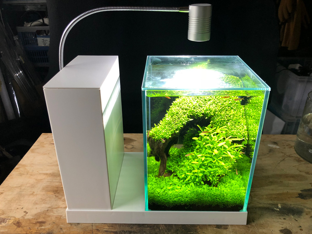 GEX AQUA-U WIDE アクアユー ワイド ホワイト GEX AQUA-U WIDE ホワイト