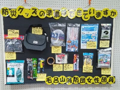 お銚子 銀製品 参議院議員功労賞品 お銚子 銀製品 参議院議員功労賞品