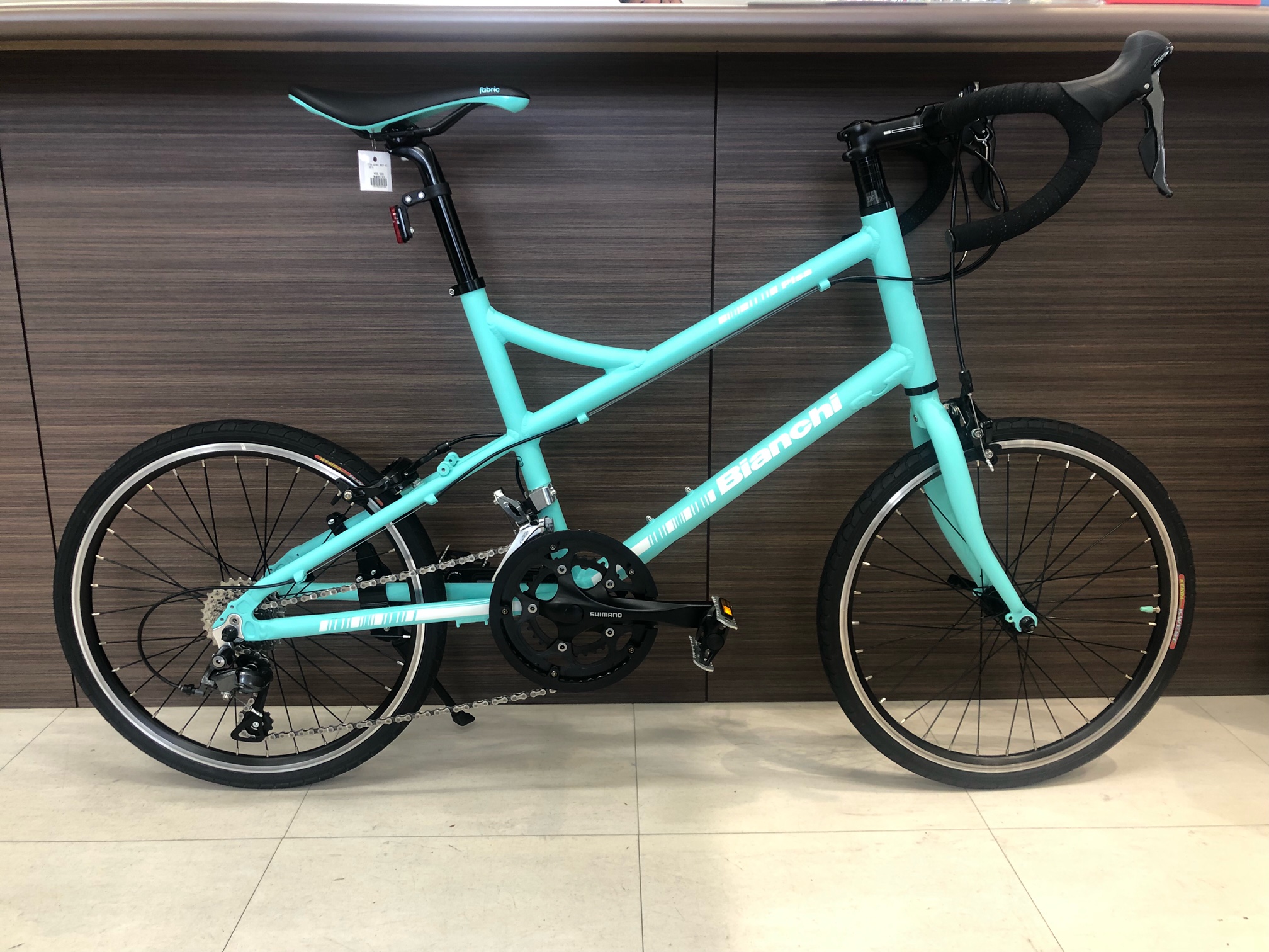Bianchi Pisa sports【ミニベロ】