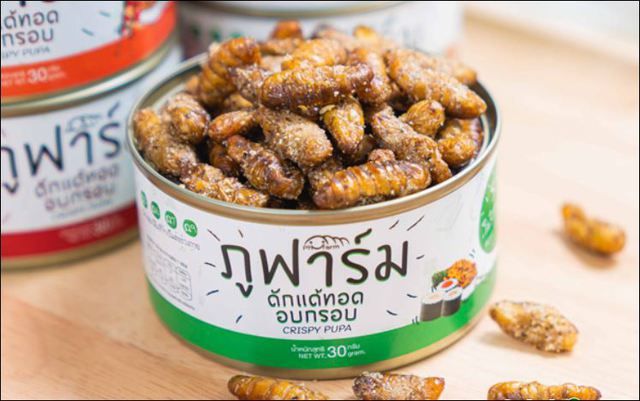 シルクワーム蚕ご飯粉末タイプ1000g （蚕の餌）