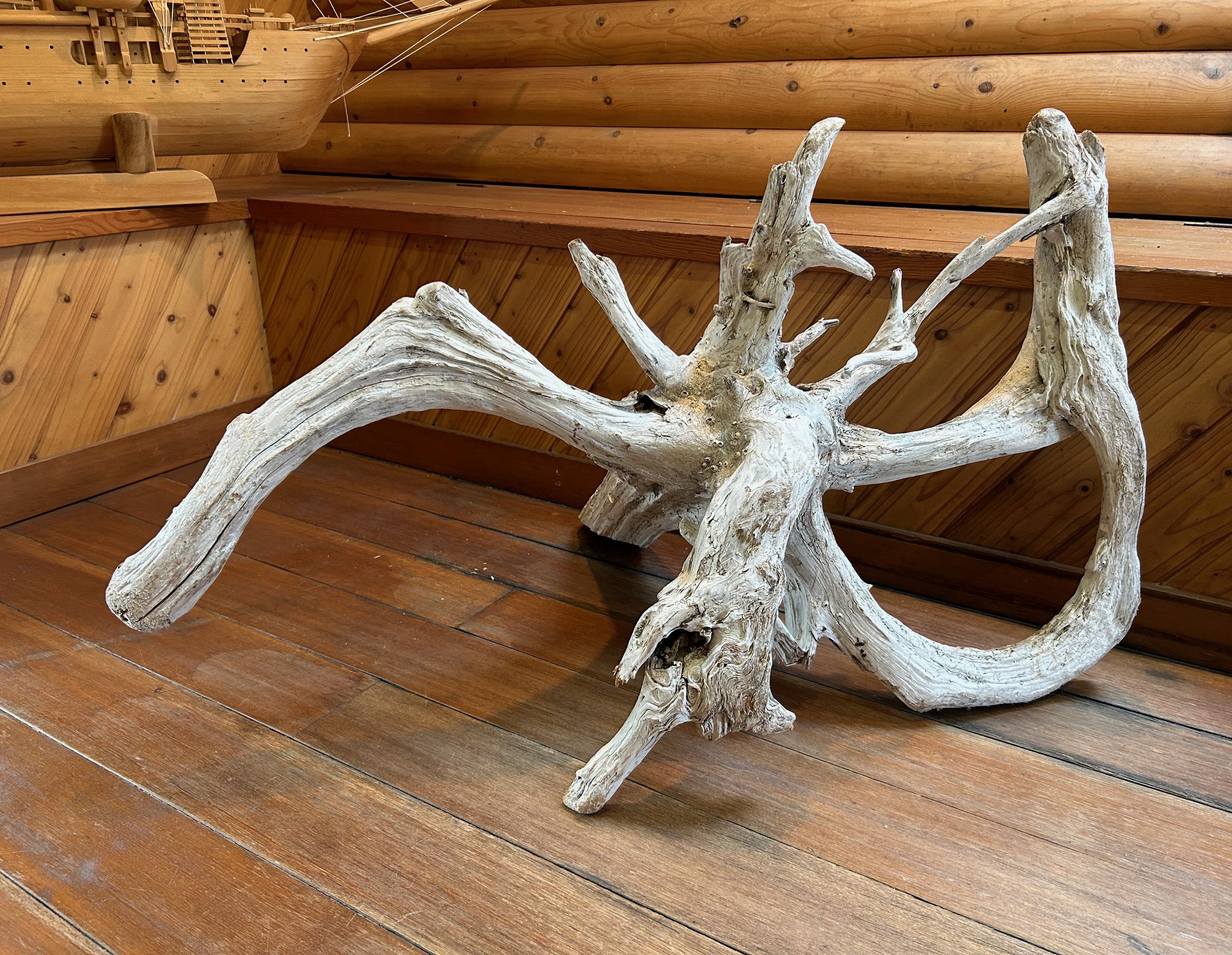 大きな竹の根っこ生活様用 大きな竹の根っこ生活様用 hqdefault.jpg