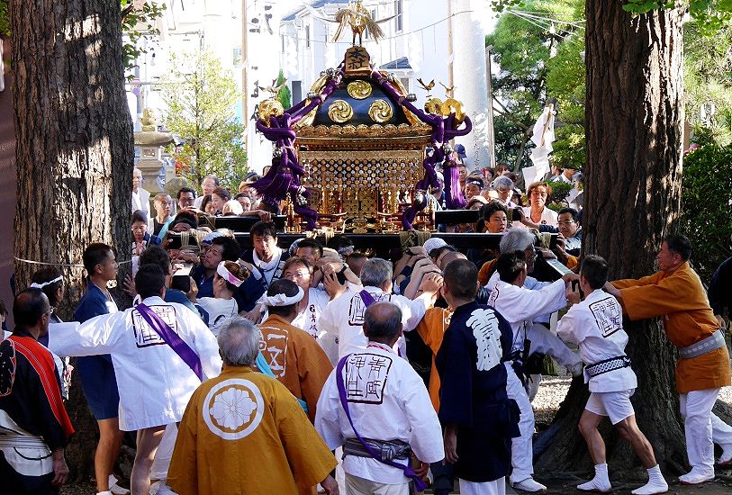 歴史の浪漫街道/ 祭りだ！神輿だ！お江戸の神輿 H26年 青砥神社