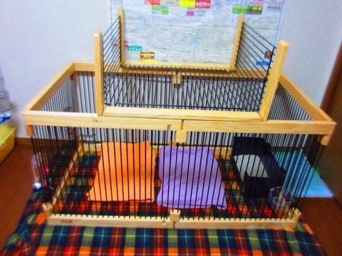 メディカル60フェレット 販売終了のメディカル60より超大型 多頭飼い