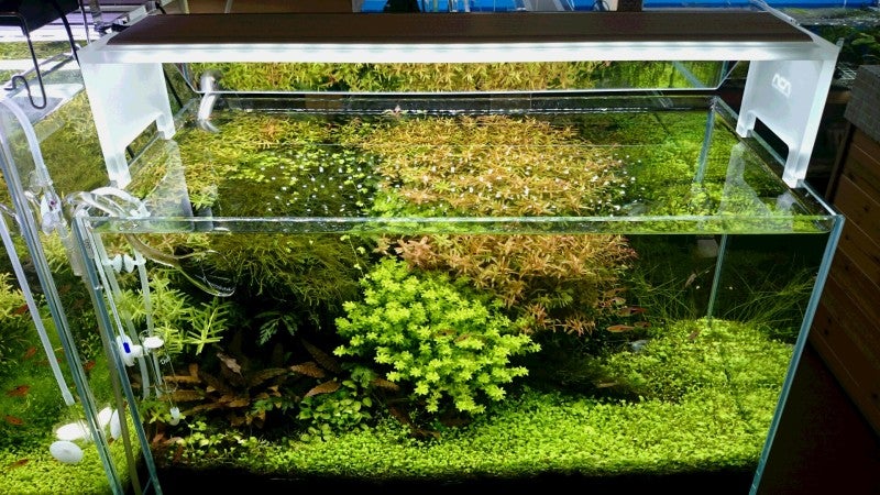 ADA アクアスカイ・ムーン601 ミラーユニットセット ライト・照明器具