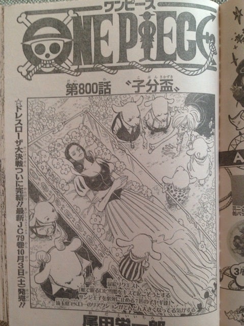 ワンピース 800話「子分盃」画バレ① | @2.5次元のブログ
