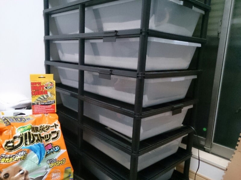 ボールパイソン タブ ラック 13個 ボールパイソン タブ ラック 13個