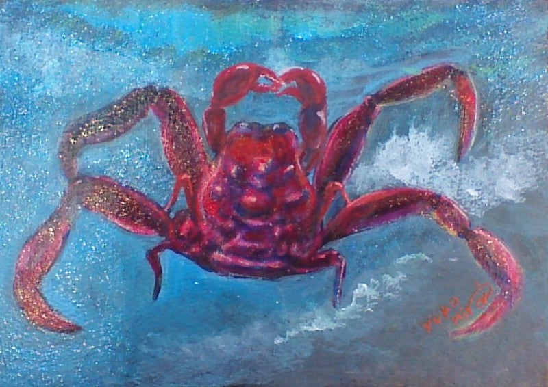 平家怨霊人面蟹リアル稀少源平合戦山口県下関壇之浦香川県屋島