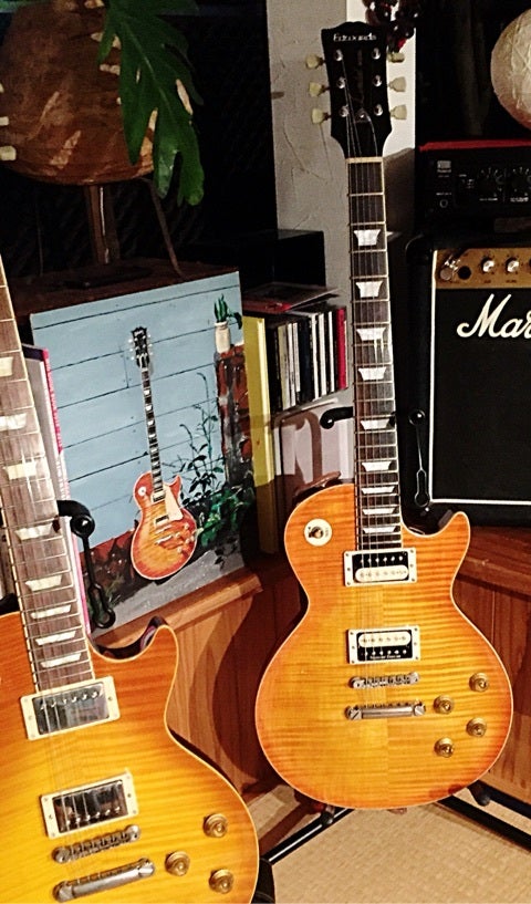 エドワーズE-LP-85SD | マナ男のﾌﾞﾛｸﾞ