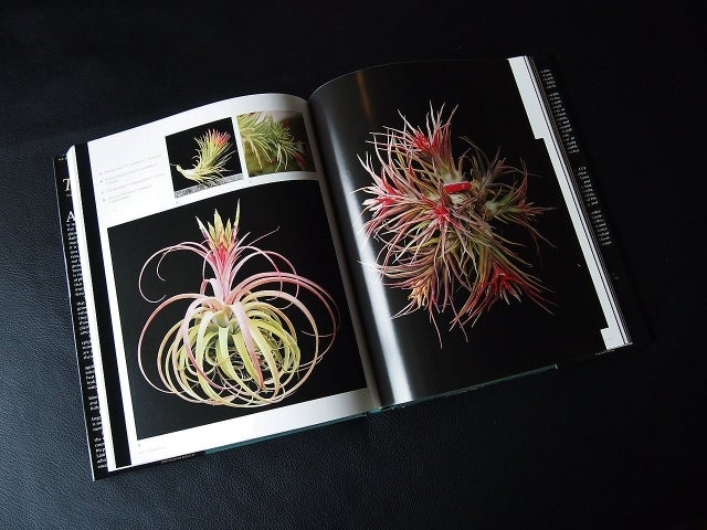 趣味・スポーツ・実用 Tillandsia Handbook 趣味・スポーツ・実用