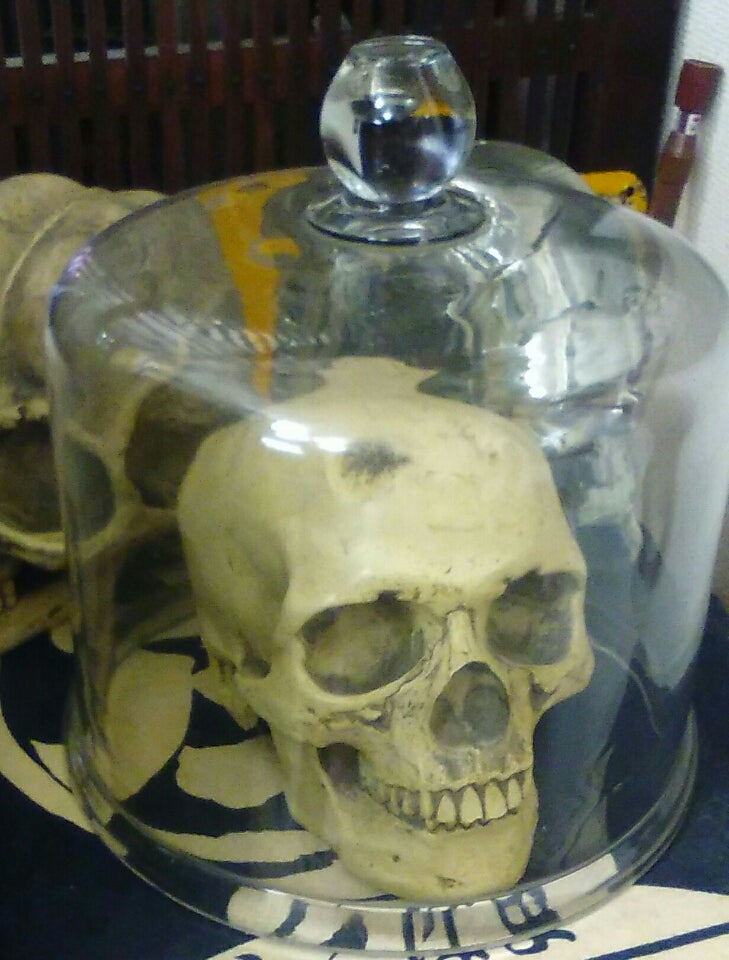 ビンテージ 50s スカル 髑髏 骸骨 ミッドセンチュリー ハロウィン