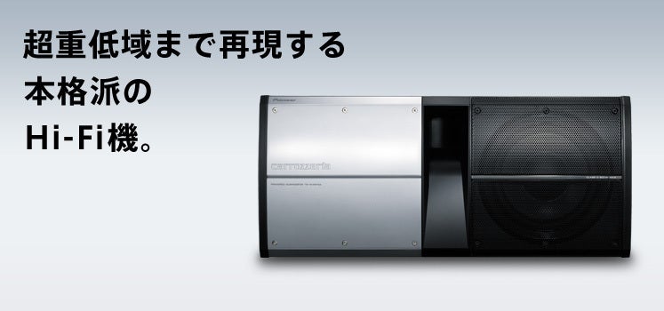 カロッツェリアTS-WX910A 25cmパワードサブウーファー TS-WX910A｜サブ