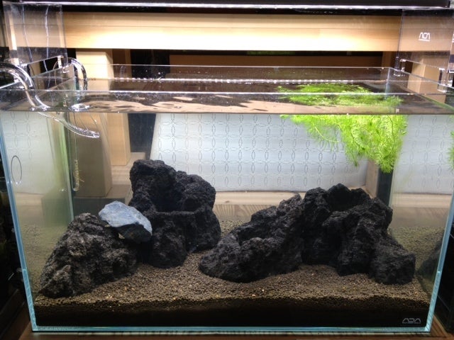 ADA雲山石セット ADA雲山石セット(小石3個) 置くだけ簡単！】30cm