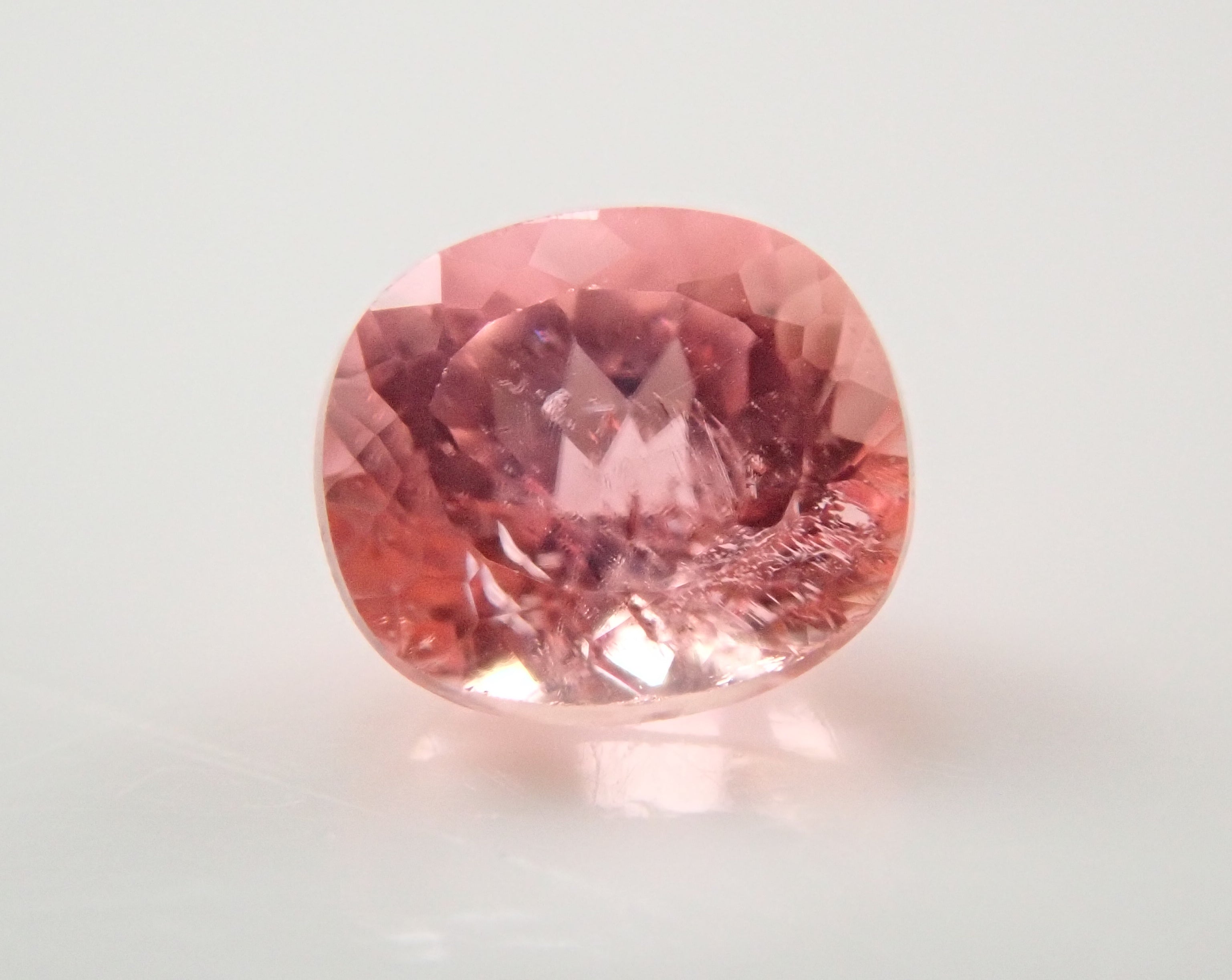 PB011705_9f8a163e-a3c2-48bd-