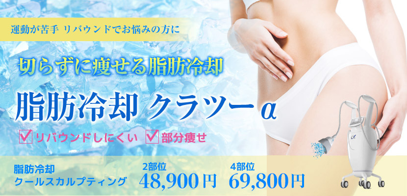 脂肪冷却保護シートクライオミュークルスカ他