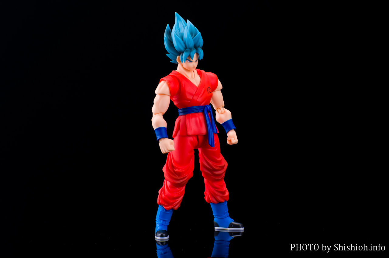 ドラゴンボールメモリーズ スーパーサイヤ人ゴッドSS 孫悟空