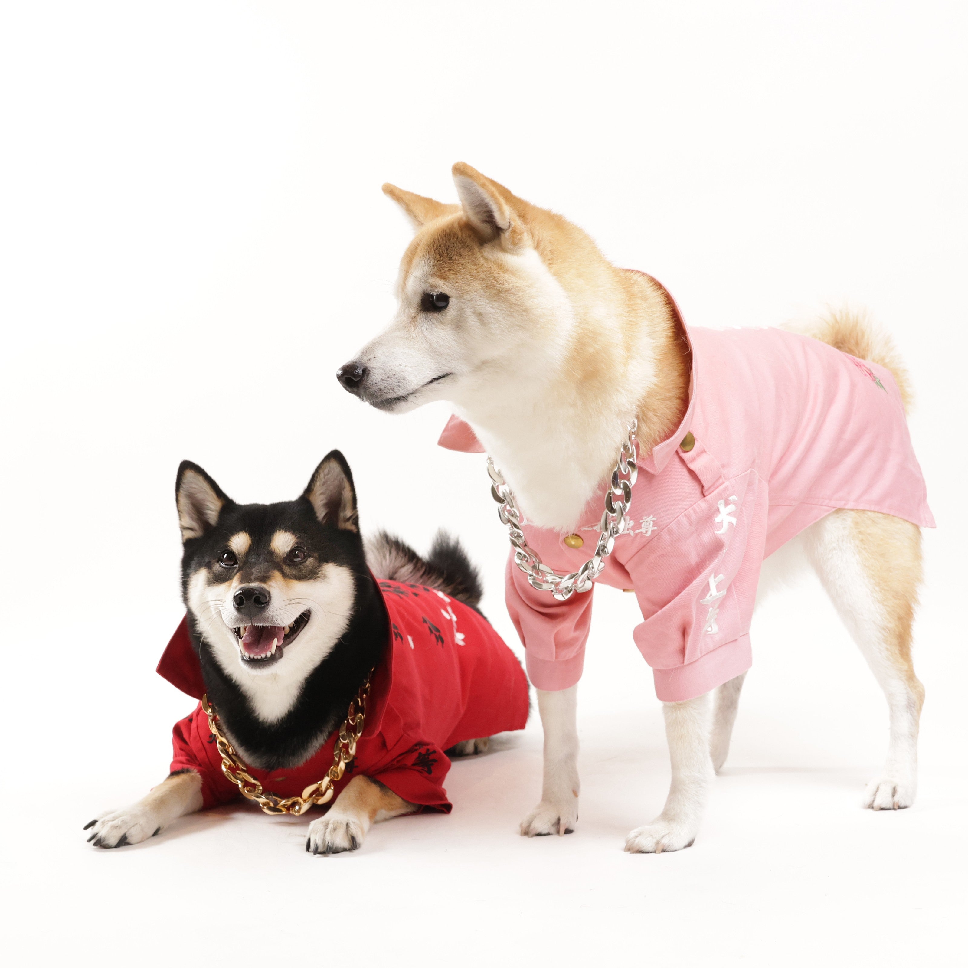 ○犬服○ハンドメイド 胴41 NO.656 Mito様専用○犬服○