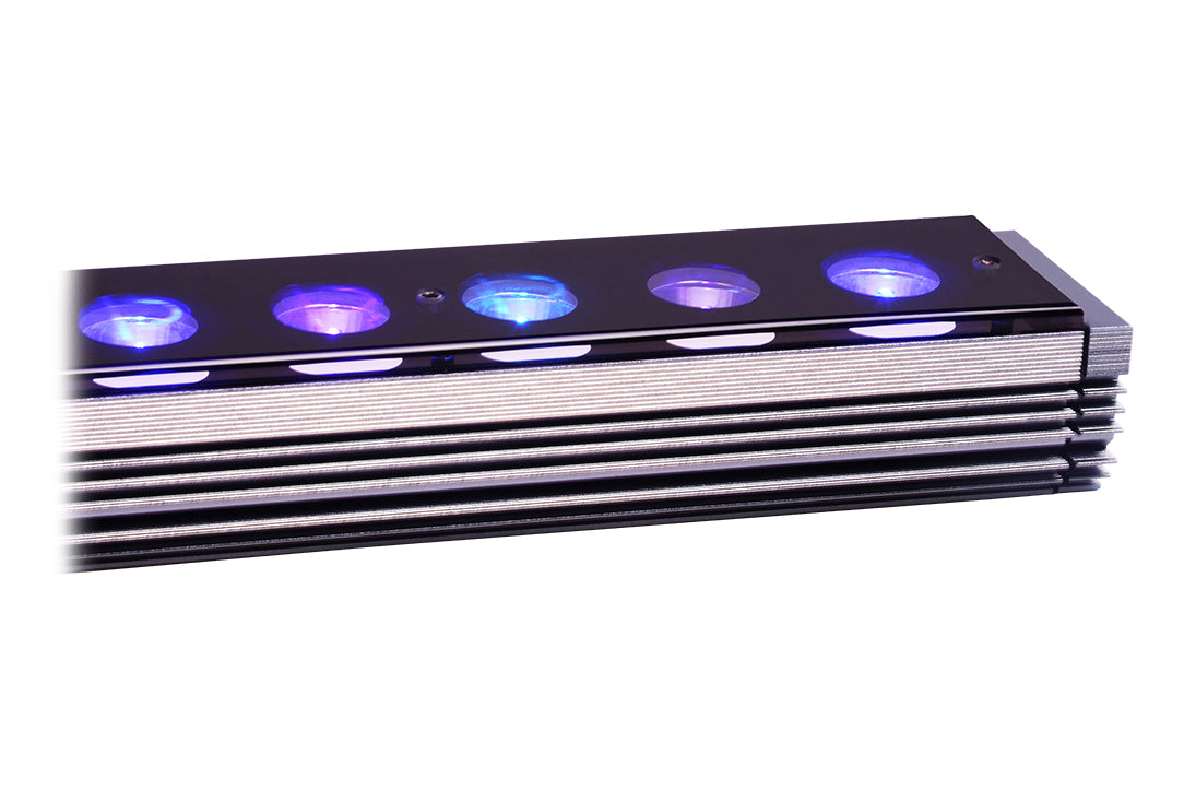 OR4 Blue Plus - Reef Aquarium LED Bar - Orphek – Orphek