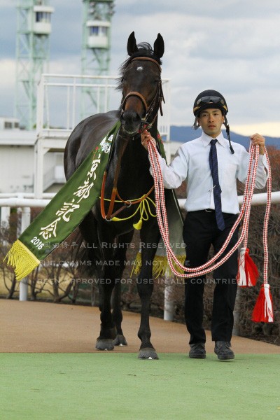 第14回（1997年）フェブラリーS回顧 岡部幸雄騎乗・シンコウ