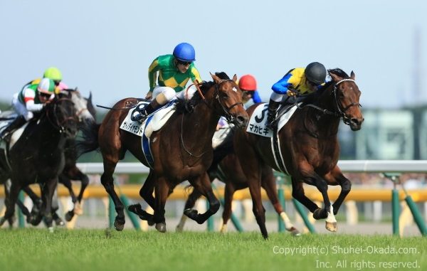 第83回東京優駿（日本ダービー） 川田将雅騎乗・マカヒキ優勝 – The