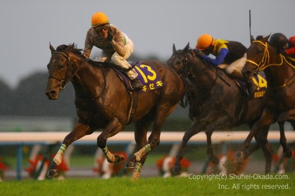 キセキ 17年 菊花賞 現地的中単勝馬券 希少 キセキ 17年 菊花賞 現地的