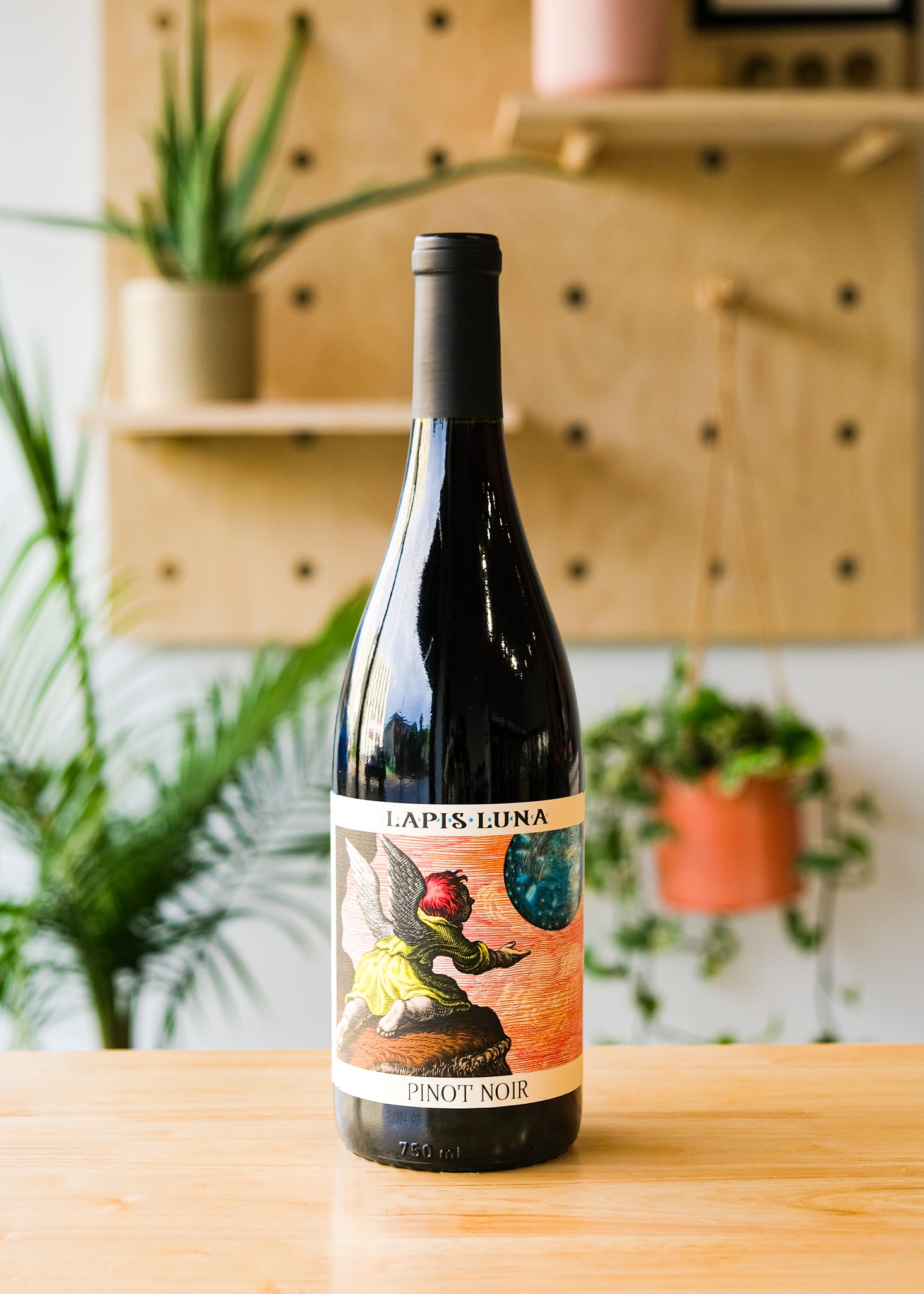 DSCF0885.jpg?v=1657744792