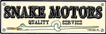 SNAKE MOTORS | K-16 STORY