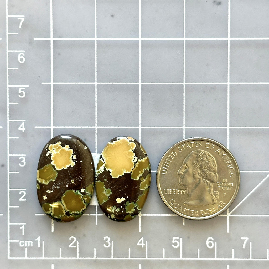 Large Earth Brown Oval Treasure Mountain Turquoise, Set of 2