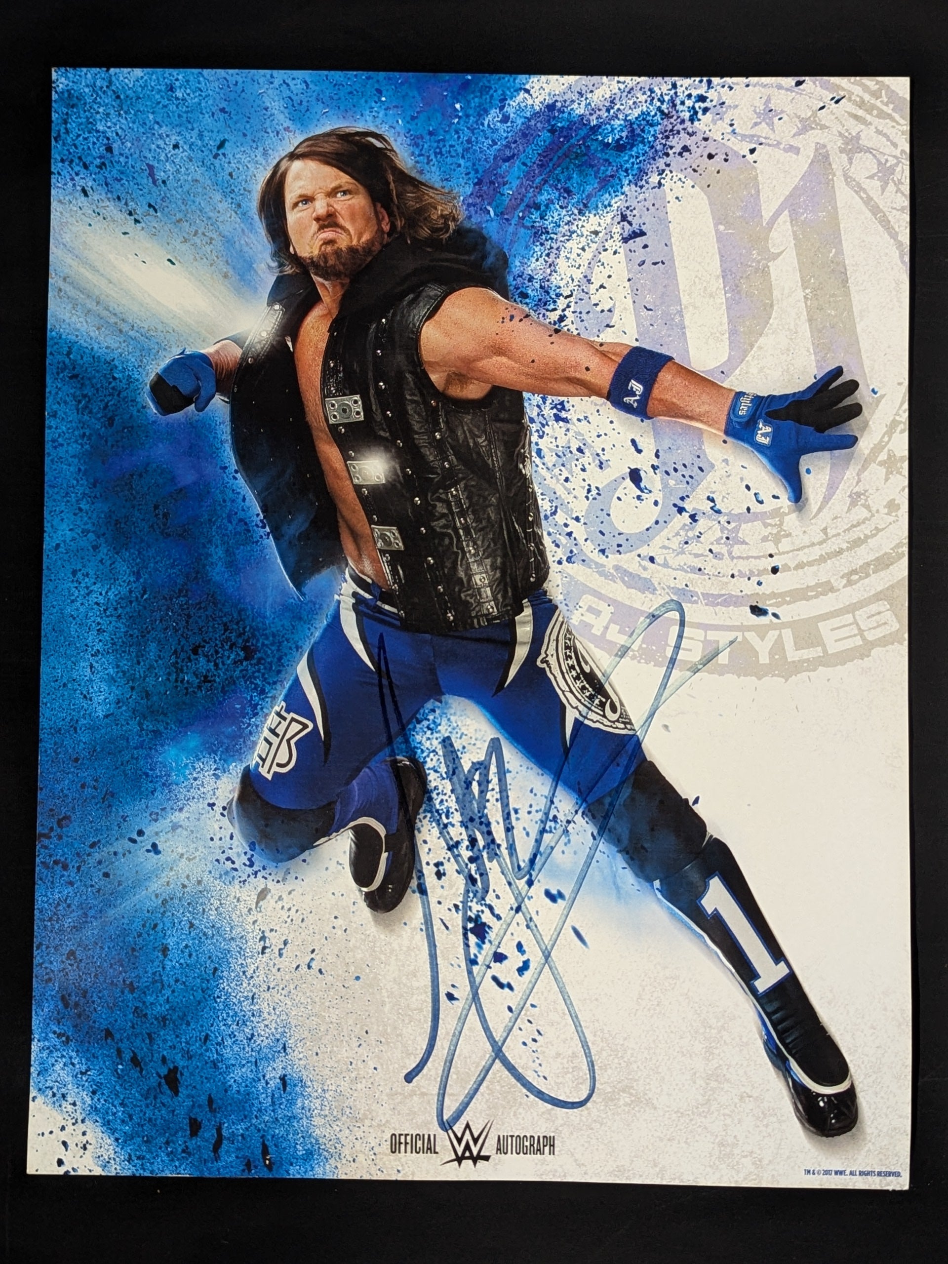 ヴィクトリア・ムローヴァ直筆サイン入り超 特大写真…