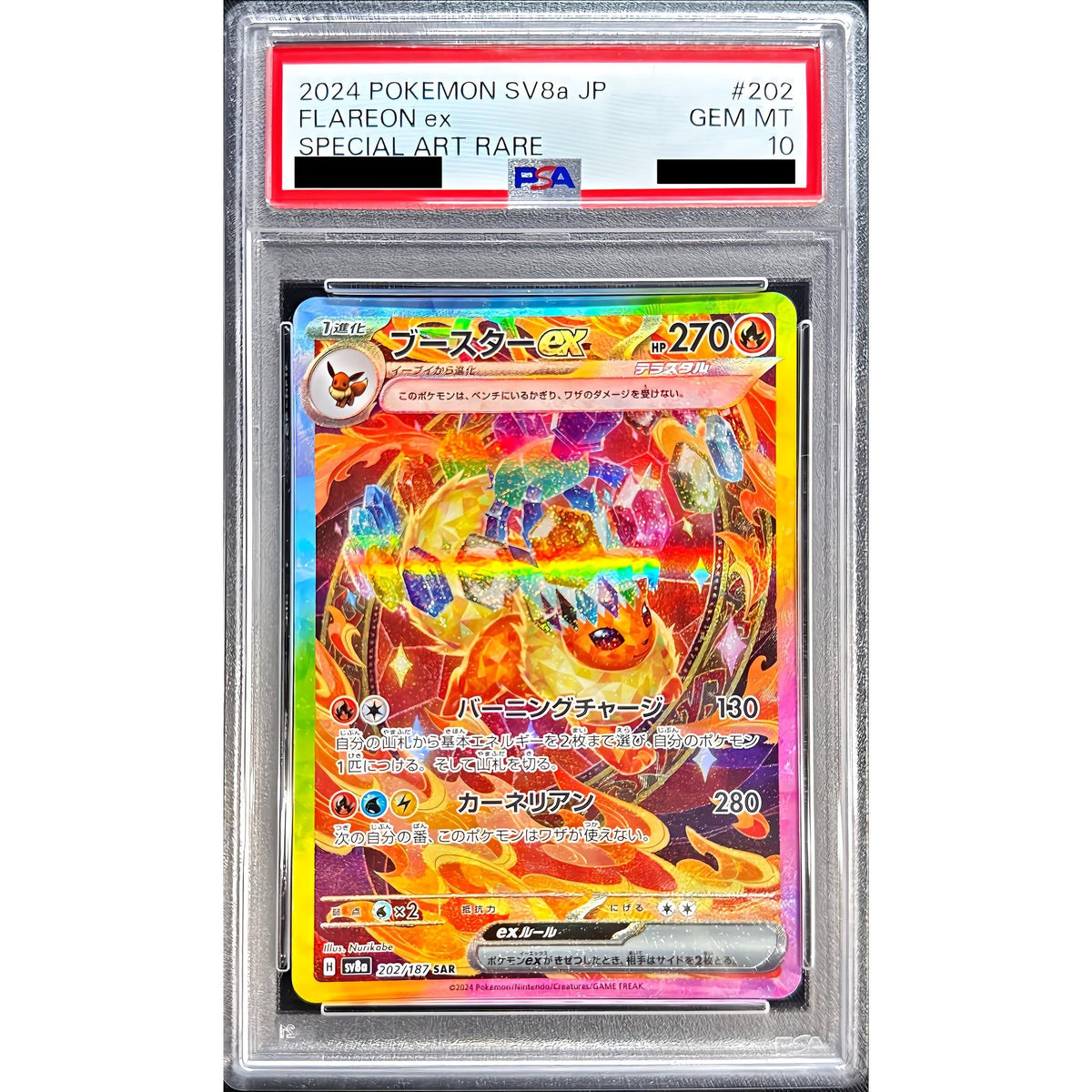 エキスパートルールカード フルコンプセット6枚 PSA10 遊戯王